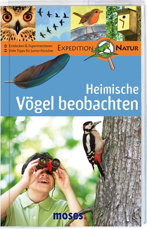 Heimische Vögel beobachten