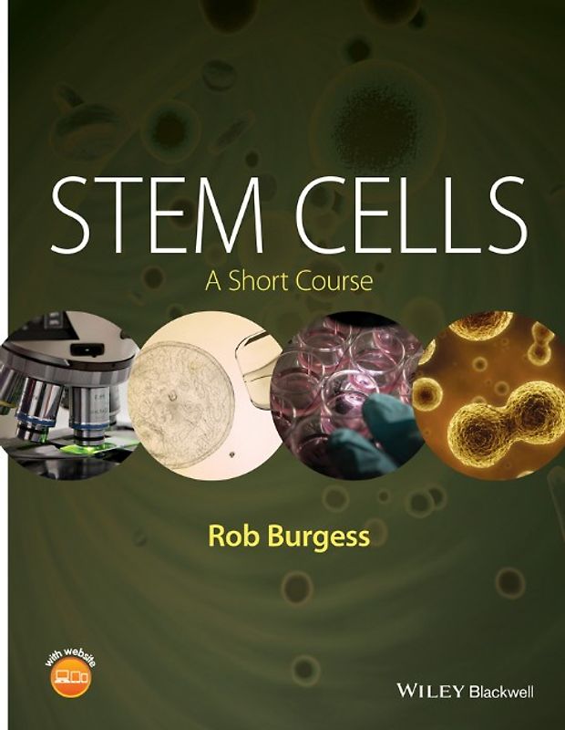 Stem Cells