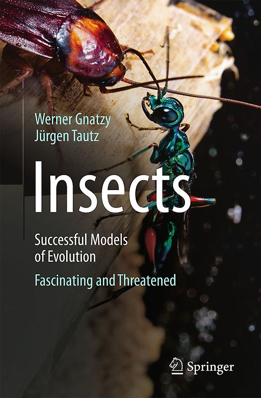 Insects - Successful Models of Evolution