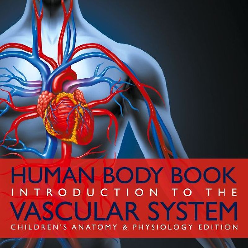Human Body Book Introduction to the Vascular System Children's Anatomy & Physiology Edition