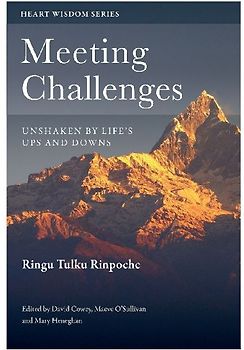 Meeting Challenges