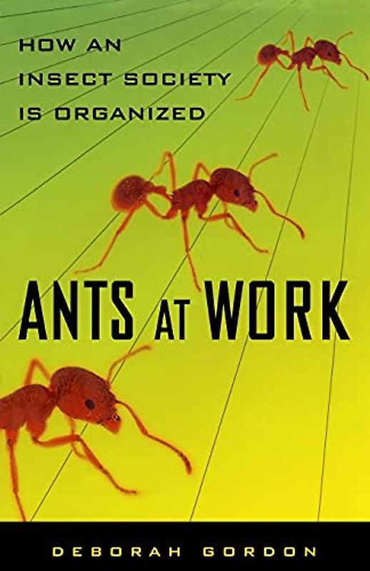 Ants At Work: How An Insect Society Is Organized - Gordon, Deborah