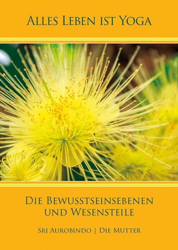 Die Bewusstseinsebenen und Wesensteile