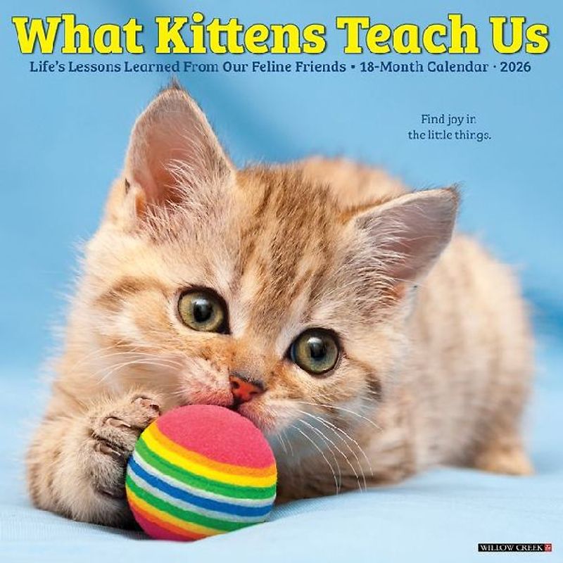 What Kittens Teach Us 2026 12 X 12 Wall Calendar
