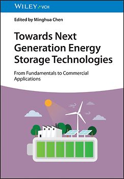 Towards Next Generation Energy Storage Technologies