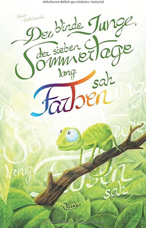 Der blinde Junge, der sieben Sommertage lang Farben sah