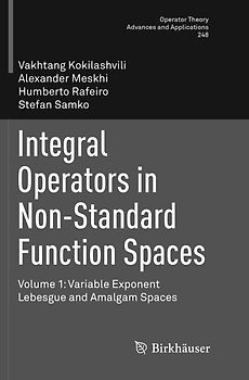Integral Operators in Non-Standard Function Spaces
