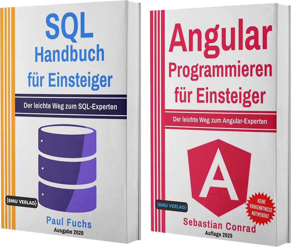 SQL Handbuch für Einsteiger + Angular Programmieren für Einsteiger (Hardcover)