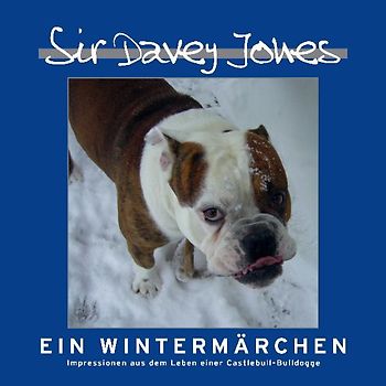 Sir Davey Jones - Ein Wintermärchen