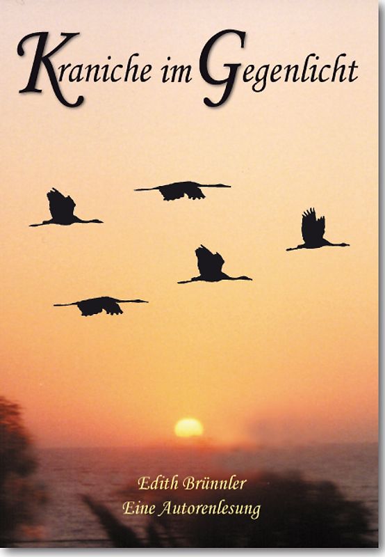 Kraniche im Gegenlicht