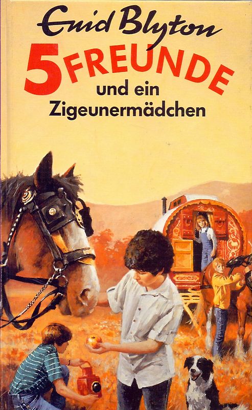 Fünf Freunde und die wilde Jo