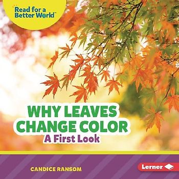 Why Leaves Change Color