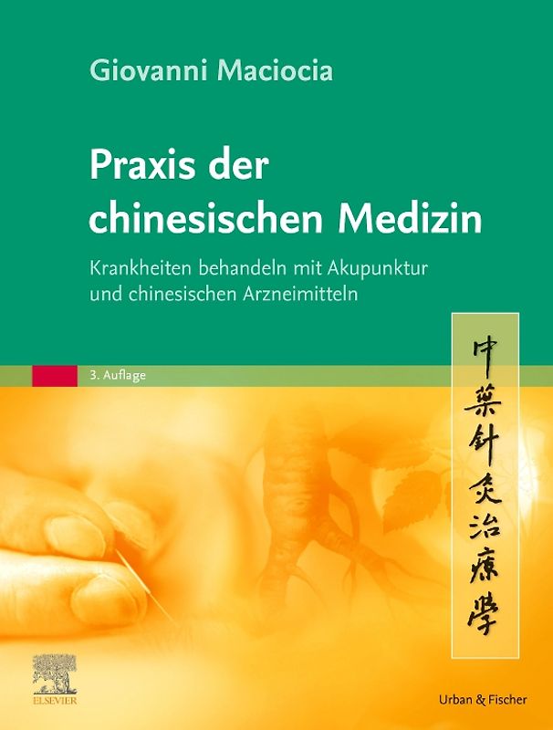 Praxis der chinesischen Medizin