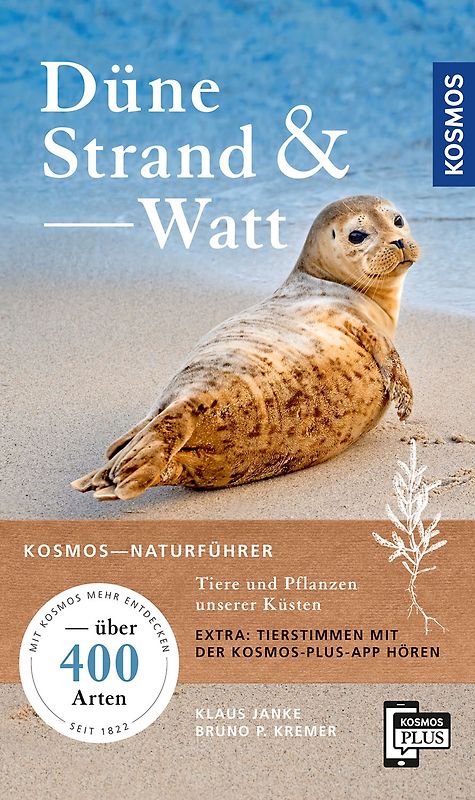 Düne, Strand und Watt