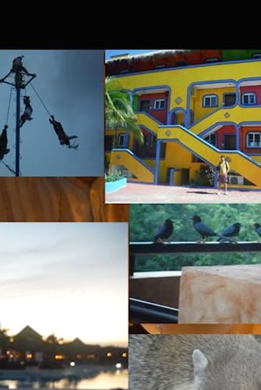 The Deliberate Slither From Worst Tyranny to Best Democracy Ever to Exist: How We Can Strike a Deal to Get from The Present to the Brightest and Most Democratic Future Ever Imagined