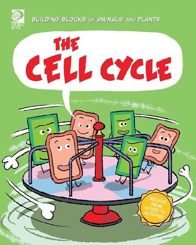 The Cell Cycle