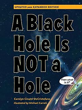 A Black Hole Is Not a Hole