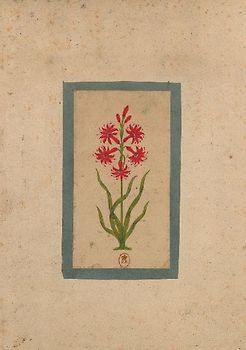 Carnet Blanc, Fleur 1, Miniature Indienne 18e Siècle