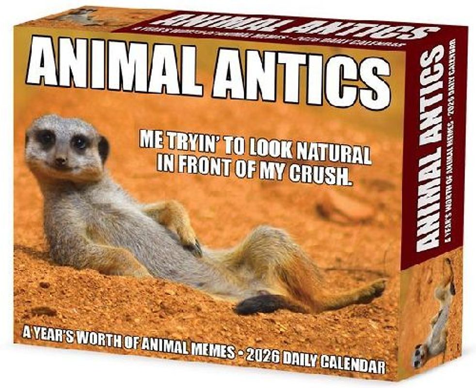 Animal Antics 2026 5.4 X 6.2 Box Calendar