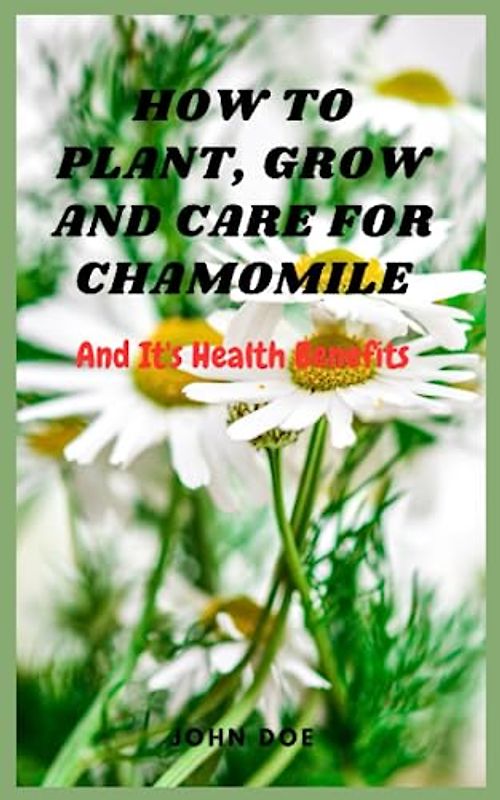 How to plant, Grow and Care for Chamomile: And it's health benefits