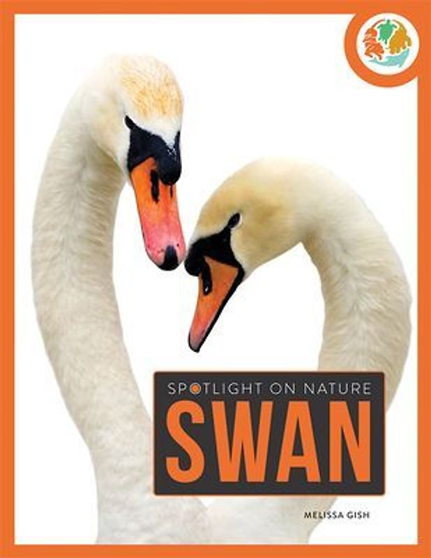 Swan