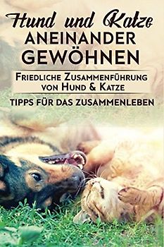 Hund und Katze aneinander gewöhnen : Friedliche Zusammenführung von Hund & Katze: Tipps für das Zusammenleben