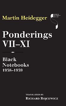 Ponderings VII-XI