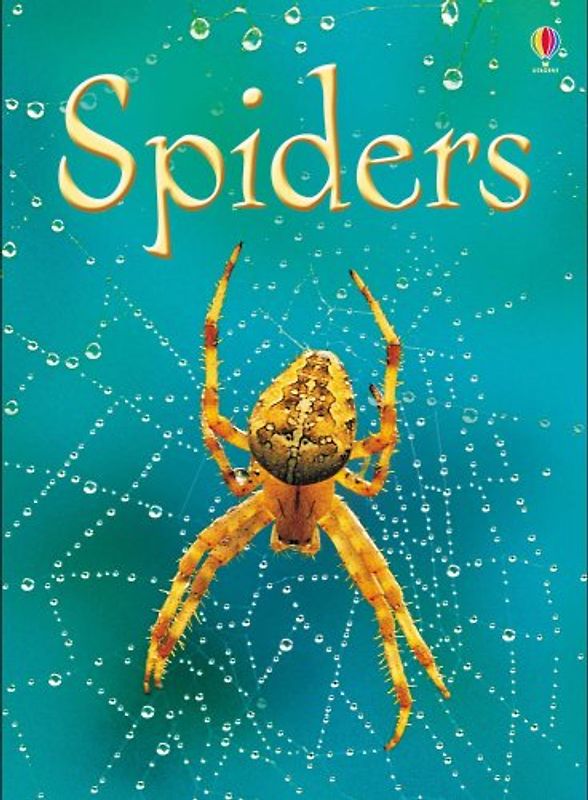 Spiders (Usborne Beginners) - Rebecca Gilpin