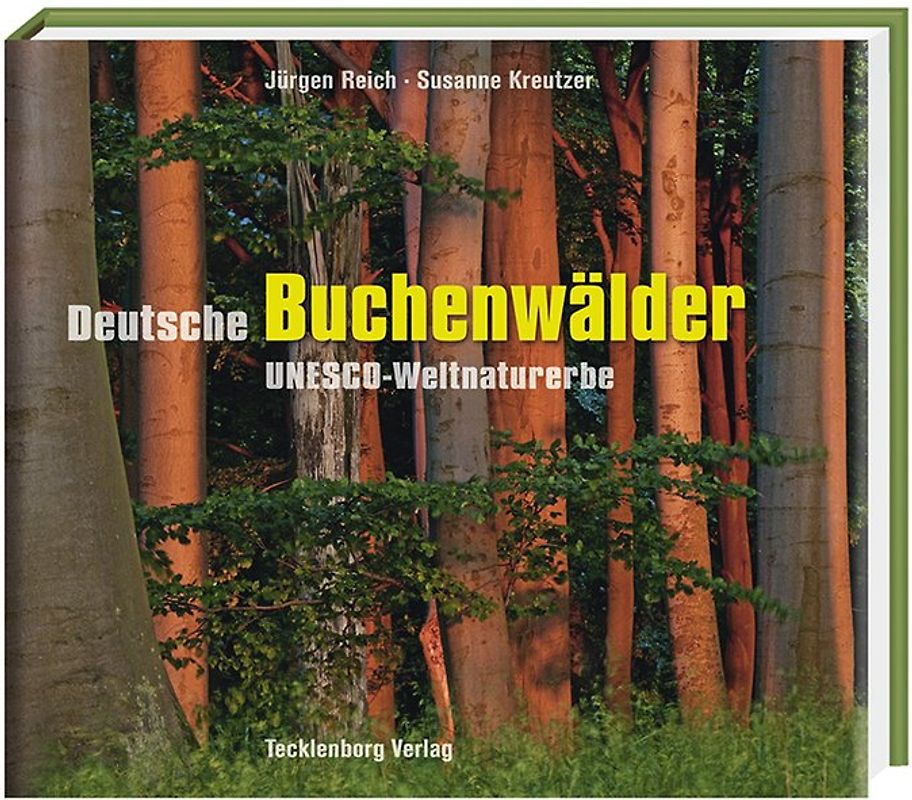 Deutscher Buchenwald