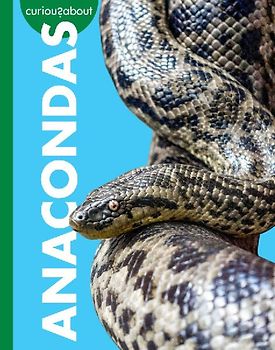 Curious about Anacondas