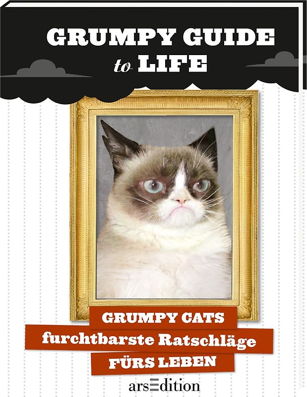 Grumpy Guide to Life