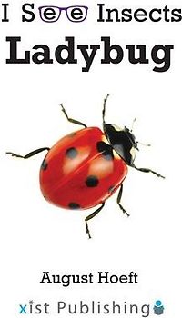Ladybug