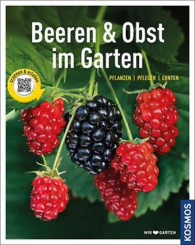 Beeren und Obst im Garten