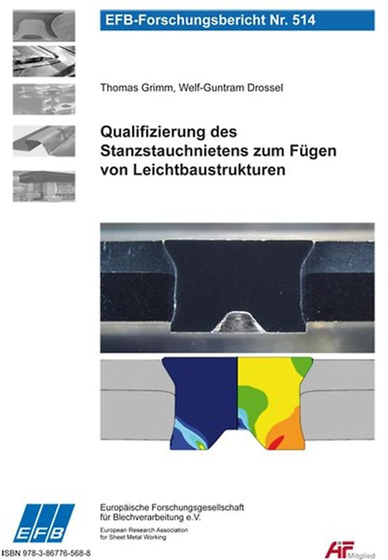 Qualifizierung des Stanzstauchnietens zum Fügen von Leichtbaustrukturen