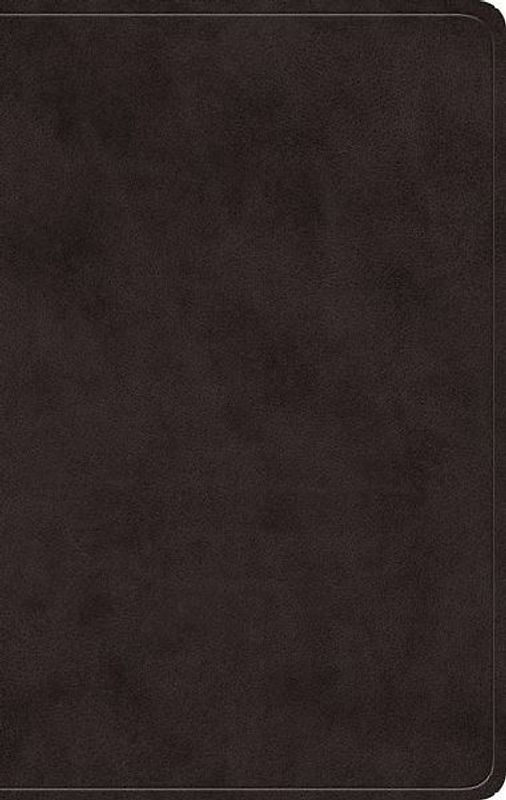 ESV Giant Print Value Personal Size Bible (Trutone, Black)