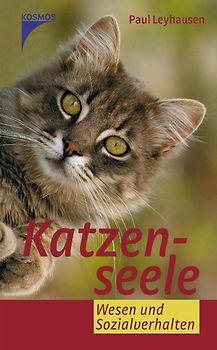 Katzenseele