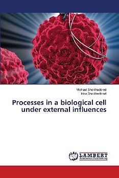 Processes in a biological cell under external influences
