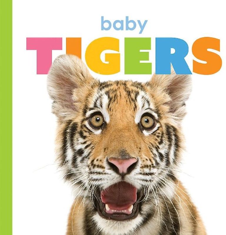 Baby Tigers