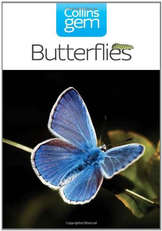 Butterflies (Collins Gem) - Chinery, Michael