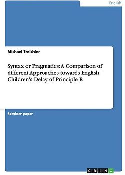 Syntax or Pragmatics: A Comparison of different Approaches towards English Children's Delay of Principle B