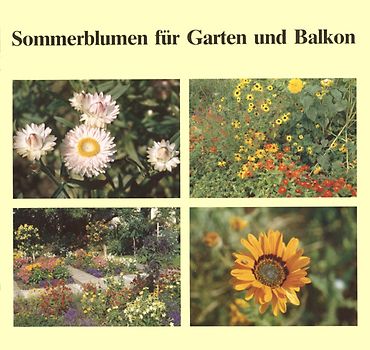 Sommerblumen für Garten und Balkon