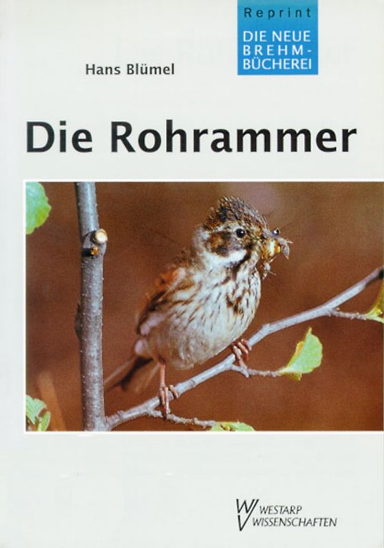 Die Rohrammer