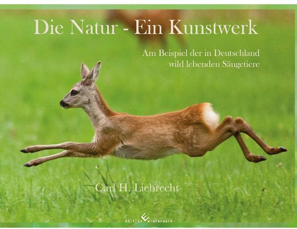 Die Natur - Ein Kunstwerk