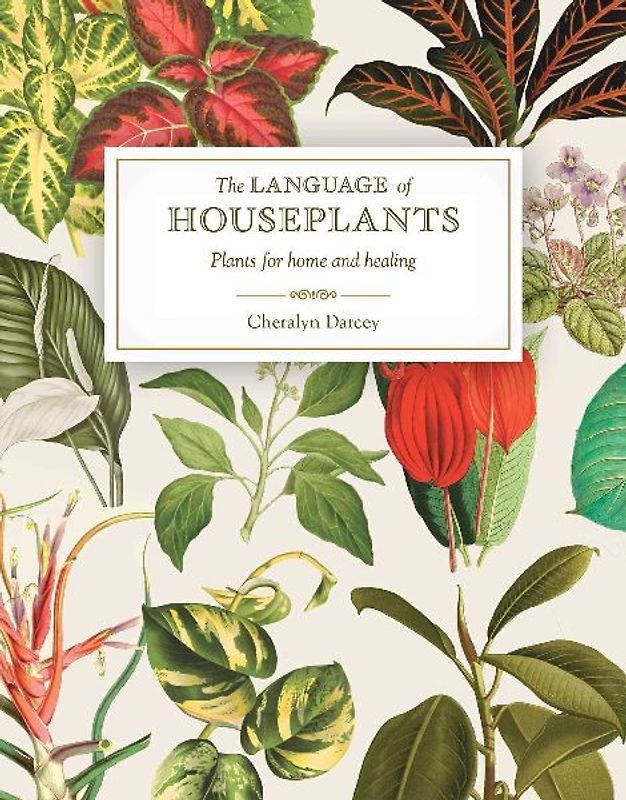 The Language of Houseplants