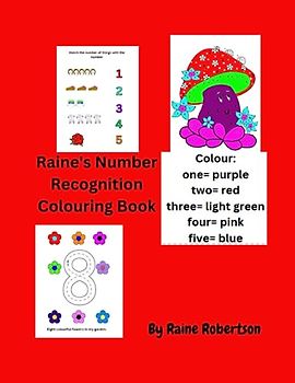 Raine's Number Recognition Colouring Book