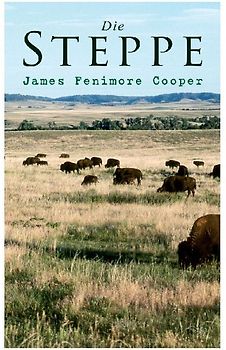 Die Steppe