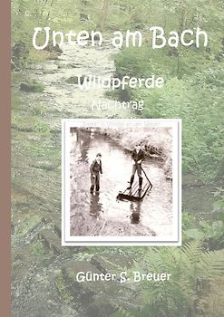 Wildpferde / Unten am Bach