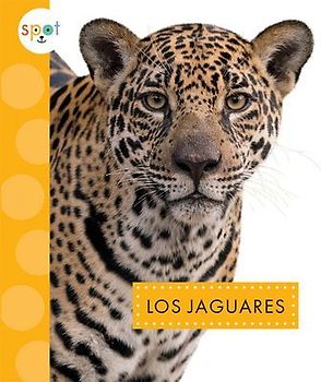 Los Jaguares
