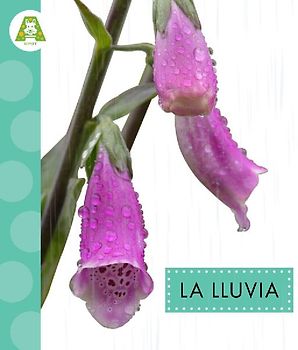 La Lluvia