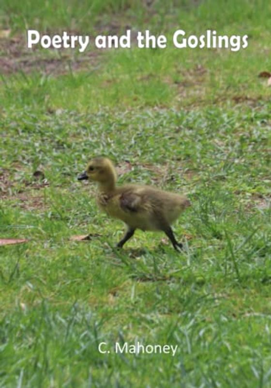 Poetry and the Goslings